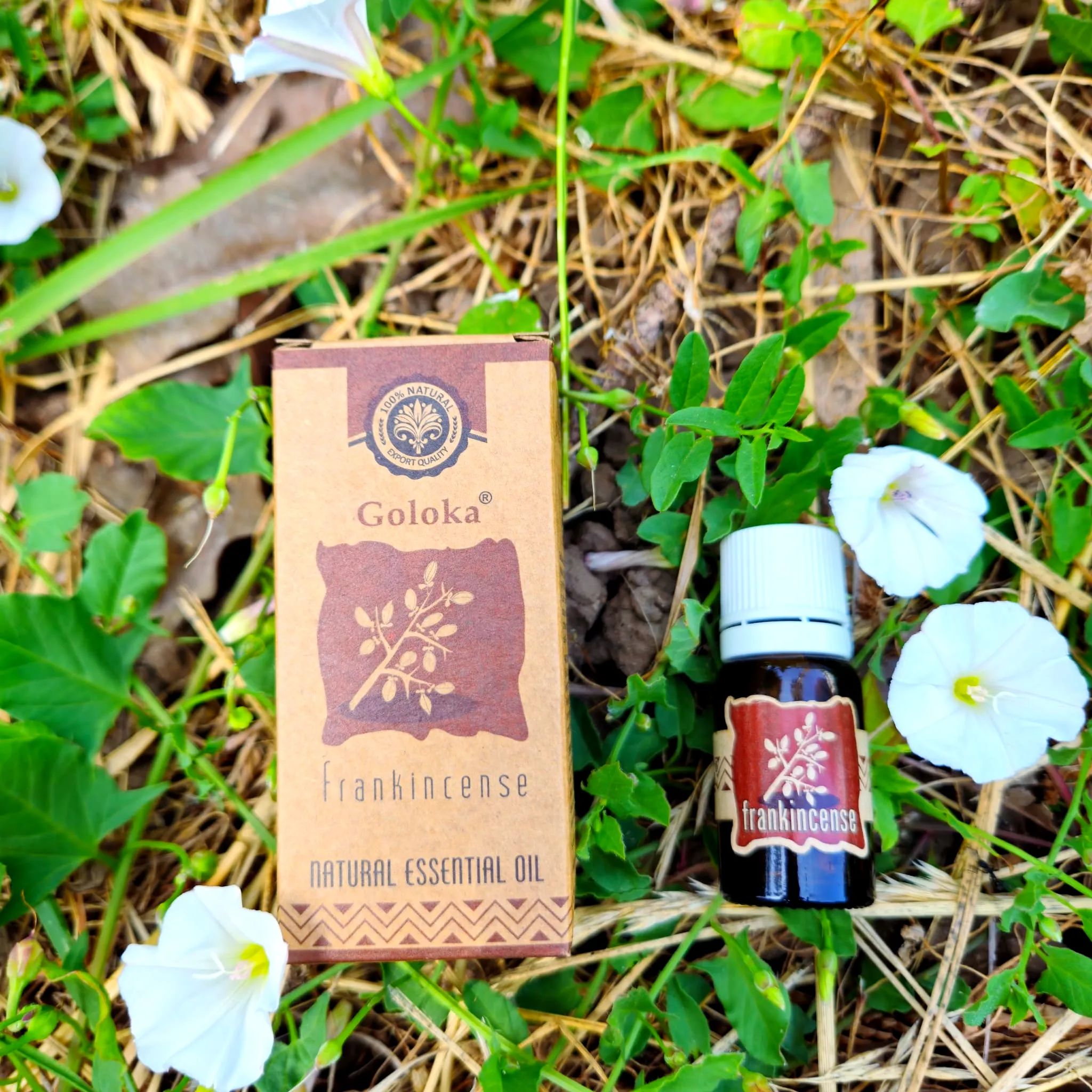 Óleo Natural Goloka FrankIncense