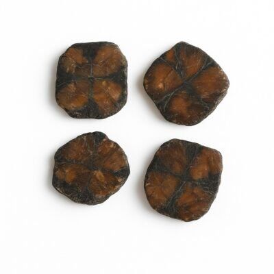 Quiastolite Pedra Cruz