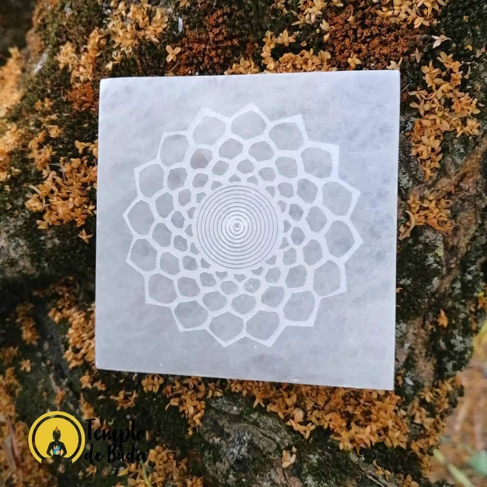 Porta Incenso Selenite Sahasrara Quadrado