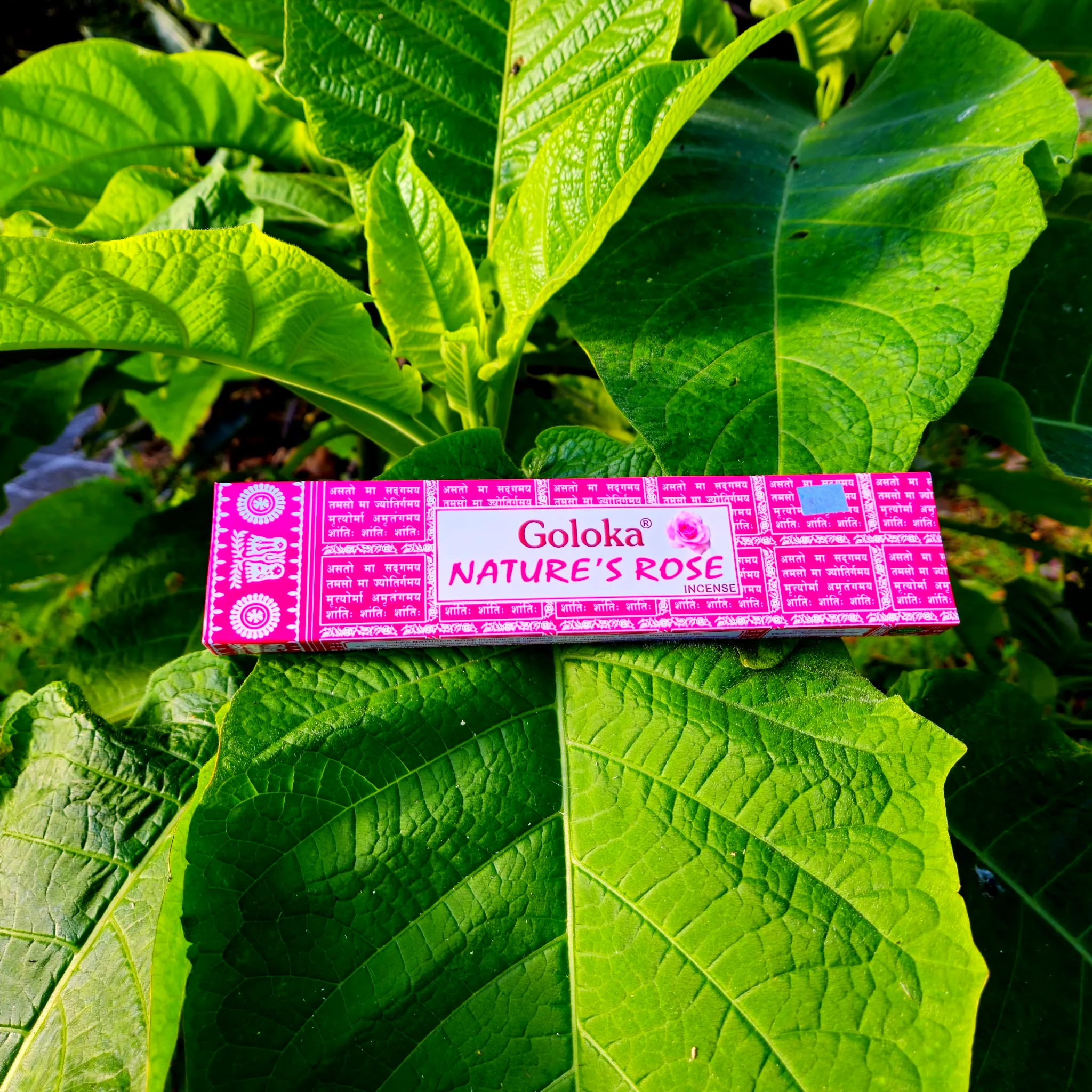 Incenso Goloka Nature Rose