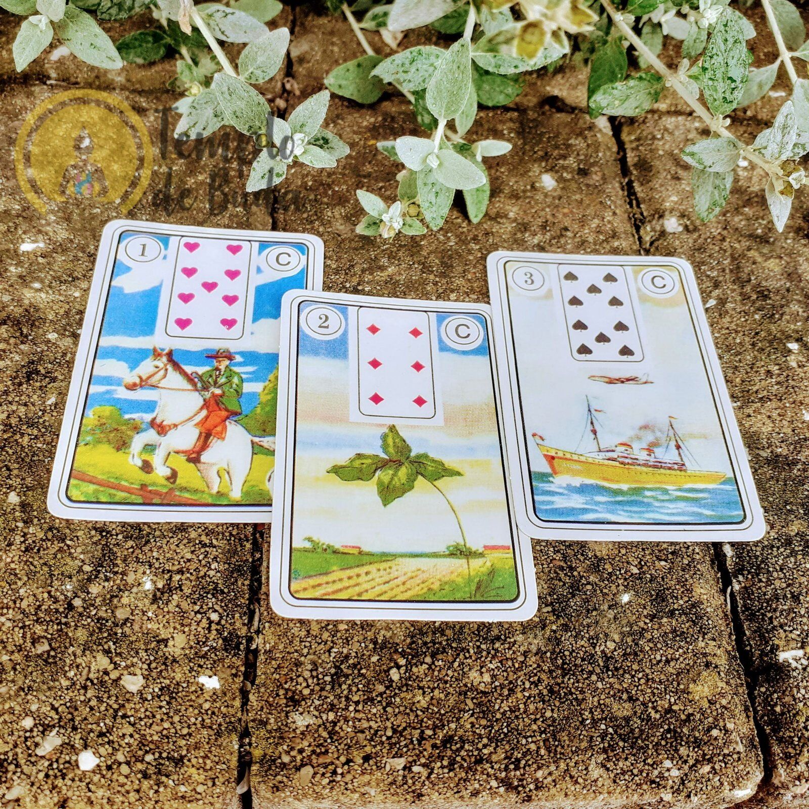 Baralho Cigano Lenormand Cigana da Sorte em Português