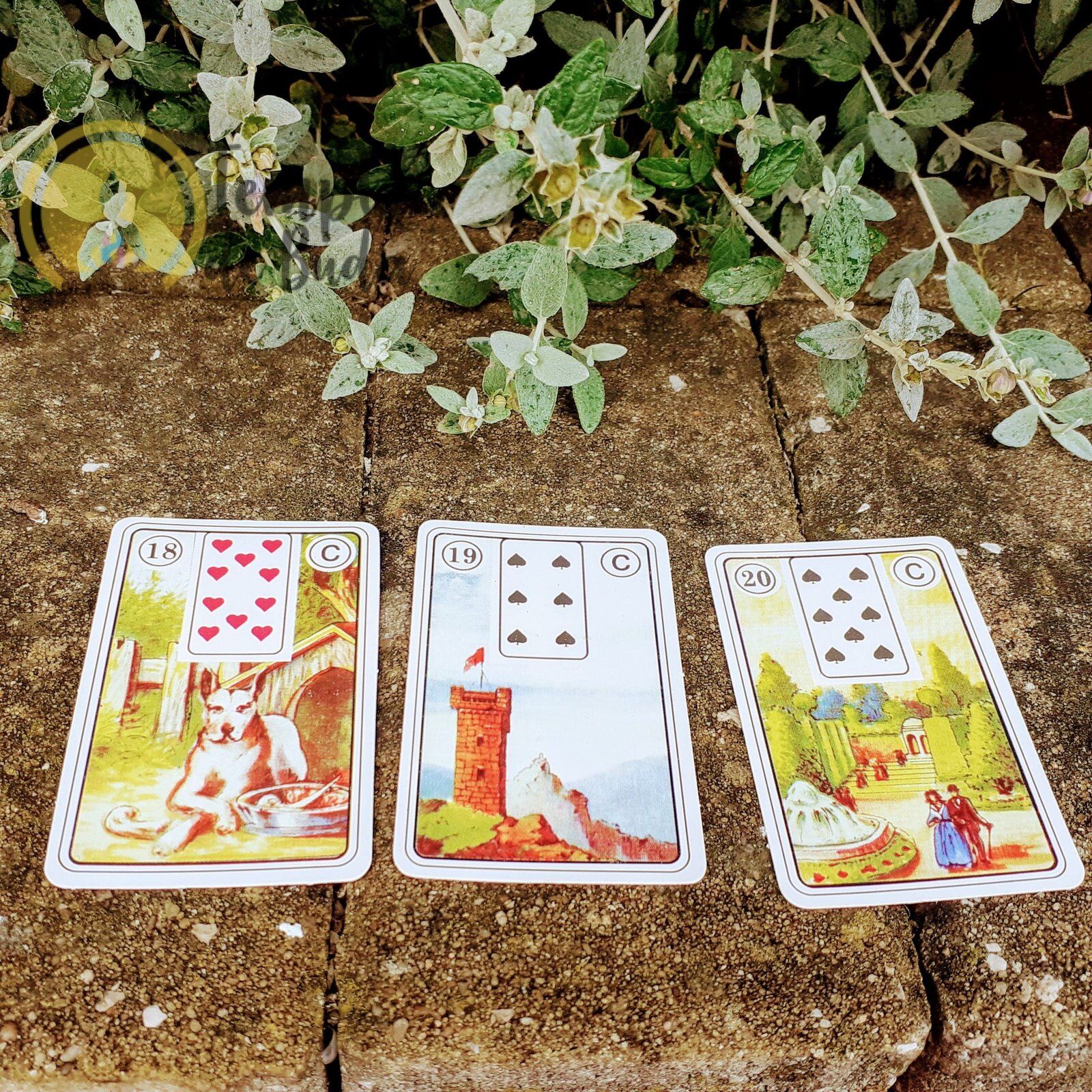 Baralho Cigano Lenormand Cigana da Sorte em Português