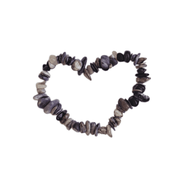 Pulseira Charoita Chips