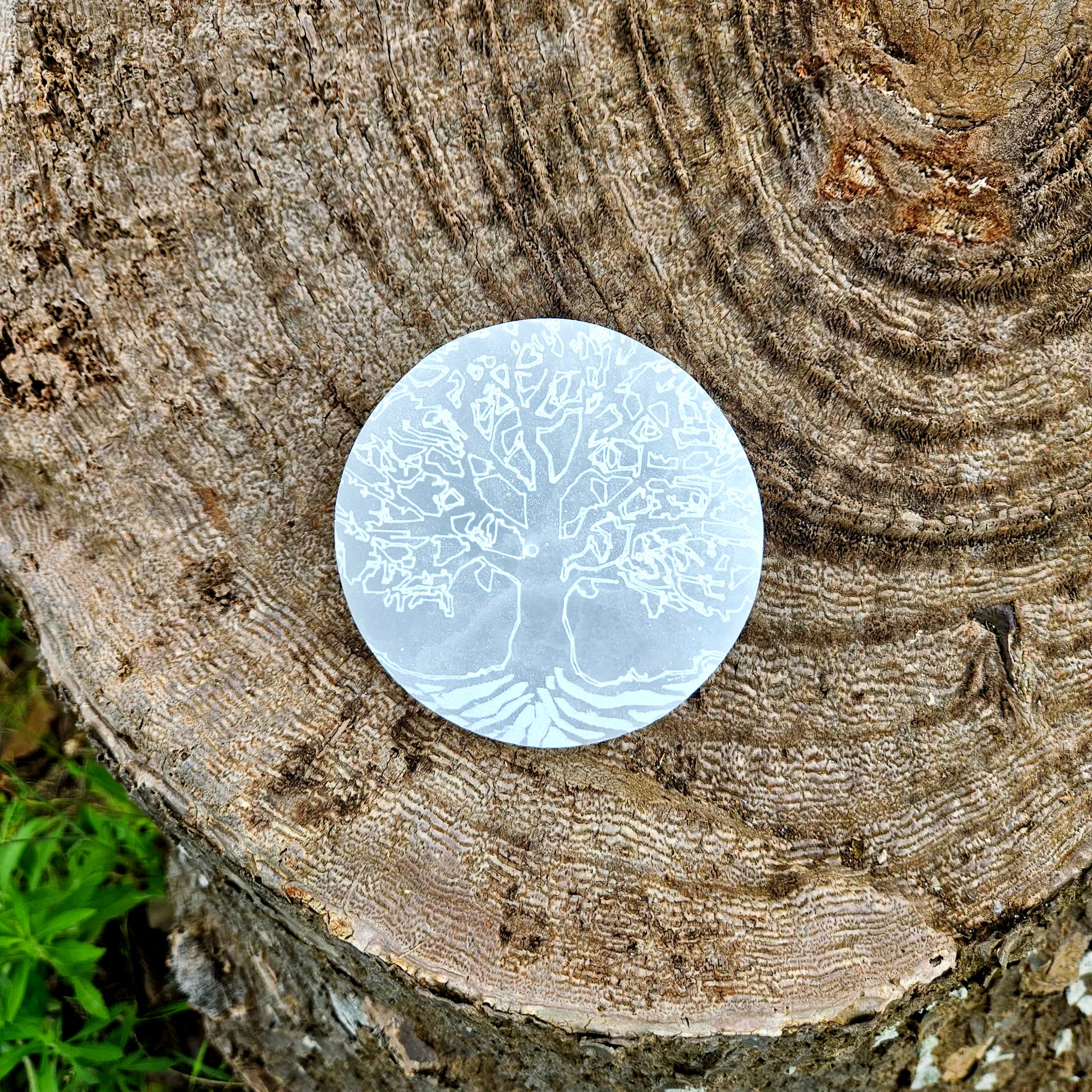 Porta Incenso Selenite Arvore da Vida