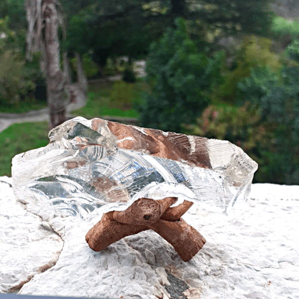 Andara Cristal Monoatómico Visão